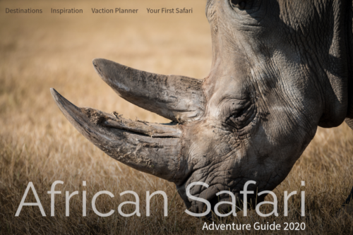 African Safari with a Rhino