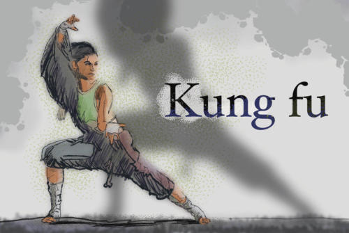 Kung fu 13