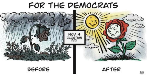dems before and after