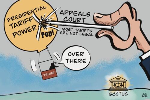 executive overreach balloon-sm