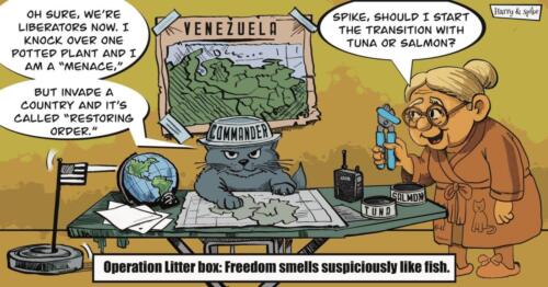 Cartoon about a senior citizen and her cat reading about Trump's overthrow of Venezuela.