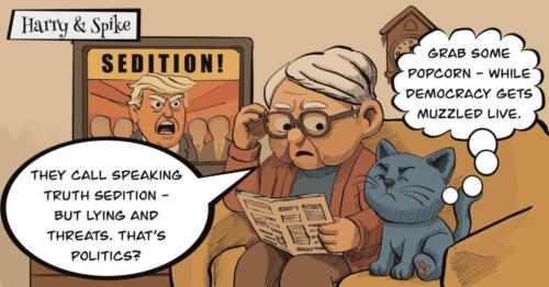 Cartoon about a senior citizen and her cat talking about sedition