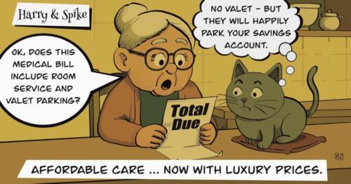 Cartoon about a senior citizen and her cat reading about her medical bill